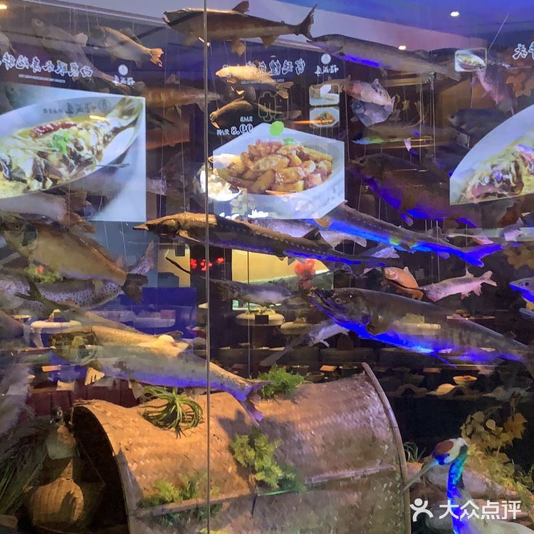 楼下的环境特别好很有特色，大多数都是关于鱼的标本