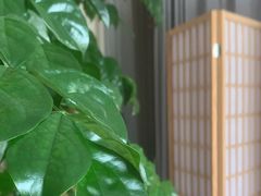 -麦悠悠·SPA·推拿(沈杜公路地铁站店)