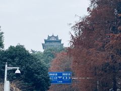 -黄鹤楼公园(黄鹤楼)