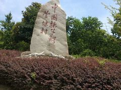 -中国扬子鳄村