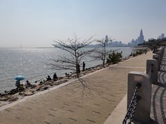 -深圳湾公园(南山区)