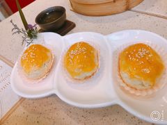 -点都德(千灯湖环宇城店)