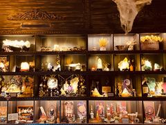 -雪灵魔法世界SHELLY’S TAROT(大良桂畔里店)