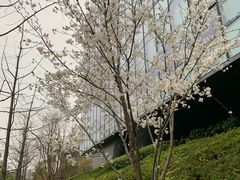-青麦家·融合餐厅(江岛智立方店)
