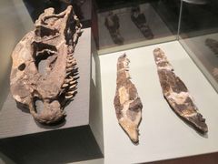 -世界恐龙谷景区