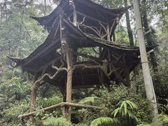 -青城山