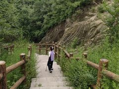 -白水寺森林公园