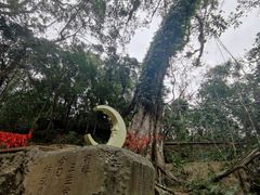 -七仙岭温泉国家森林公园