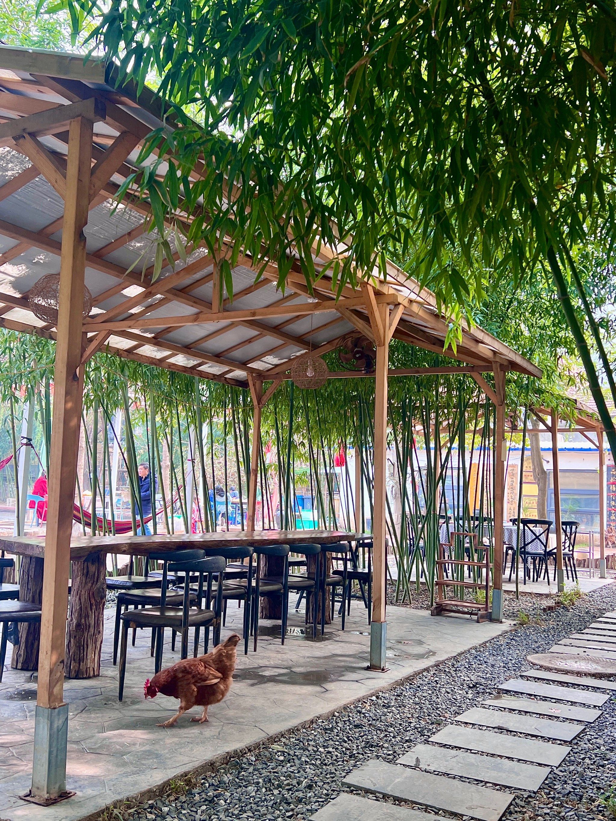 西安农家乐|逃离城市计划95一站式吃喝玩乐