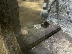 -月亮湾公园