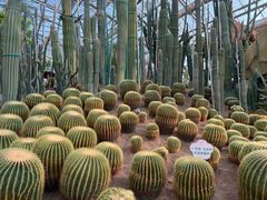 -南山植物园