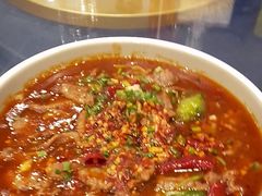 -金龙寨(龙城路店)