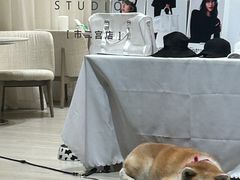 -YCHL Studios健身工作室(市二宫店)