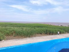 -南汇嘴观海公园