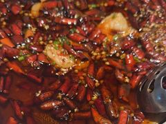 巅峰毛血旺-羊门客在·烤盐池滩羊·川菜