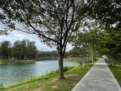 -四海公园(南山区)