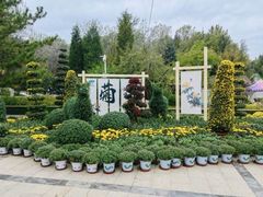 -青藏高原野生动物园