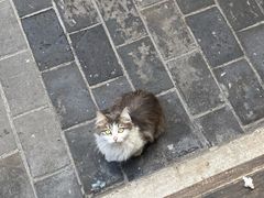 -小厨子私房菜·云南美食店