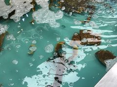 -盒马鲜生(宝地店)