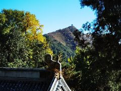 -潭柘寺景区