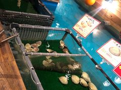 -ジャンボ釣船 つり吉(新世界店)