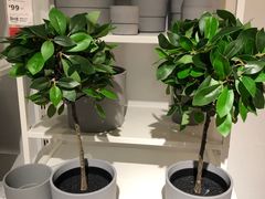 -宜家家居(哈尔滨商场店)