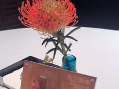 -许家菜.艺创菜(仁和新城店)