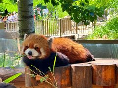 -北京野生动物园