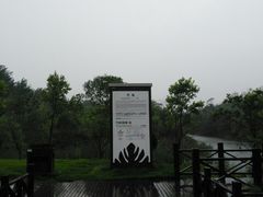 -黄海国家森林公园