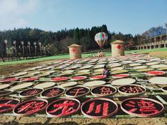 -千岛湖龙川湾