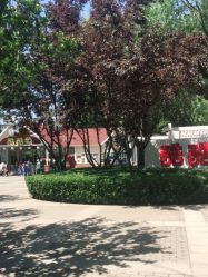 -酷酷兔少儿拓展天地
