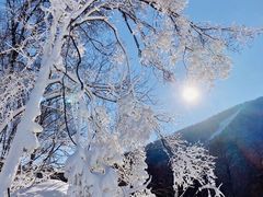 -中旅松花湖滑雪场