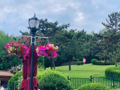 -棒棰岛宾馆景区