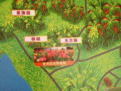 -广西壮族自治区药用植物园