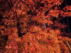 -必胜客(远大路店)