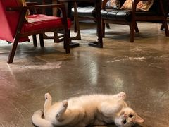 -咖法森林·咖啡  酒吧(天河店)