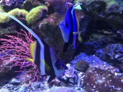 -左海海底世界
