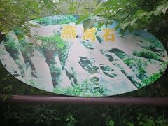-大岭沟猕猴桃谷风景区