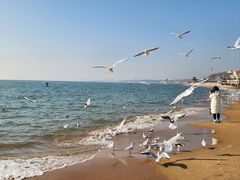 -老虎石海上公园