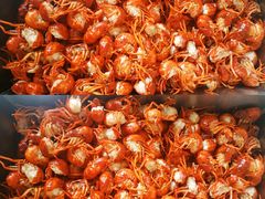 -马王堆海鲜水产市场