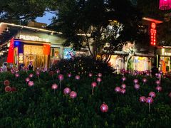 -西湖天地