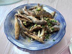 -菜当家