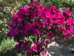 -汇龙潭