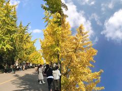 -四川大学(望江校区)
