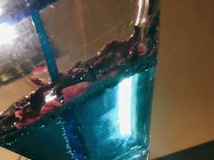 -Uncle Kosto科斯托·中东菜