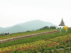-东部华侨城