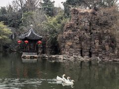-水绘园