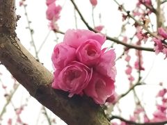 -汇龙潭