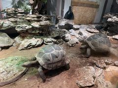 -杭州野生动物世界