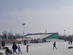 -绿野森林乐园冰雪季